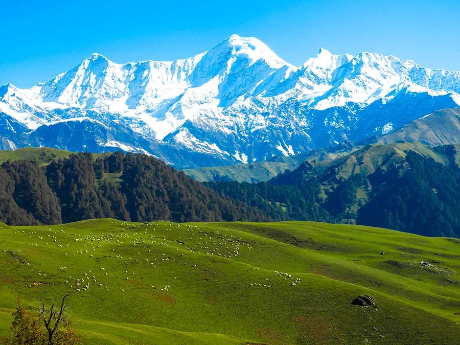 Dayara Bugyal trek