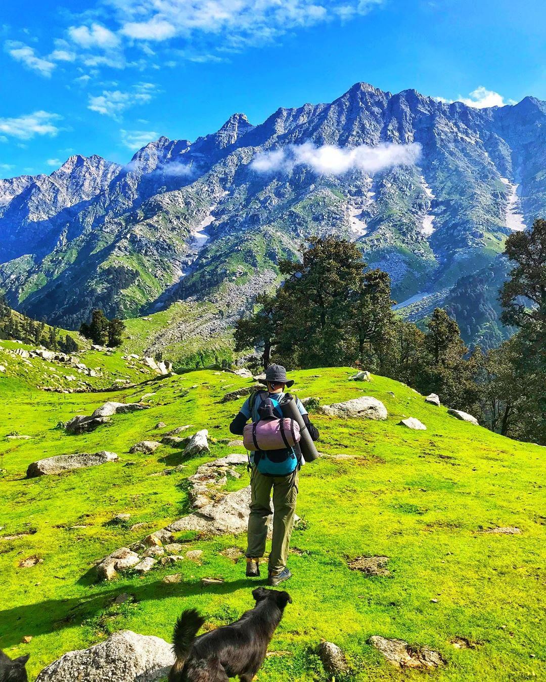 Triund trek
