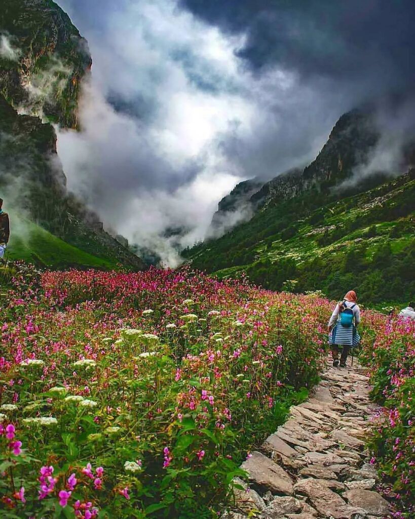 Valley of Flowers